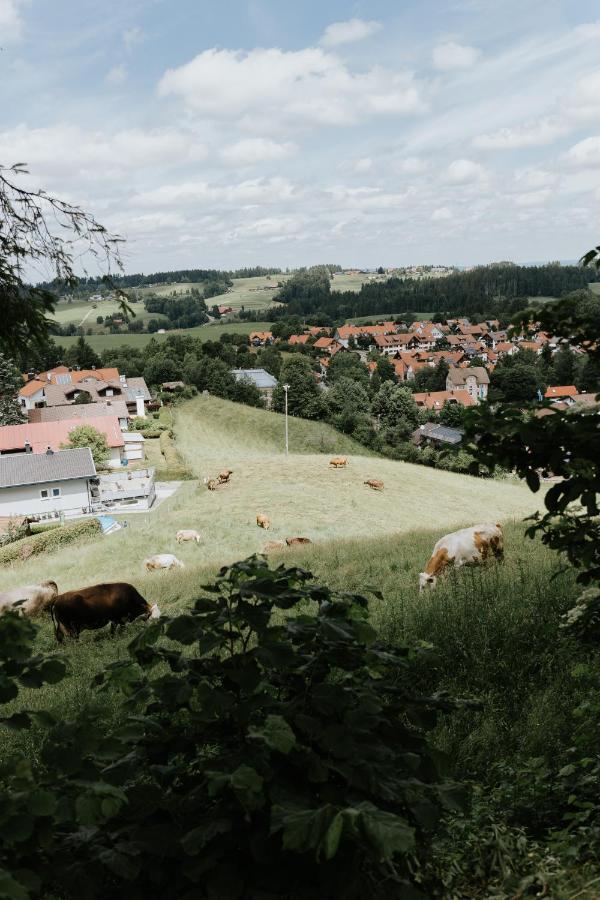 Ferienwohnung Alpenblick I Kamin I Private Sauna Wangen im Allgäu Eksteriør billede