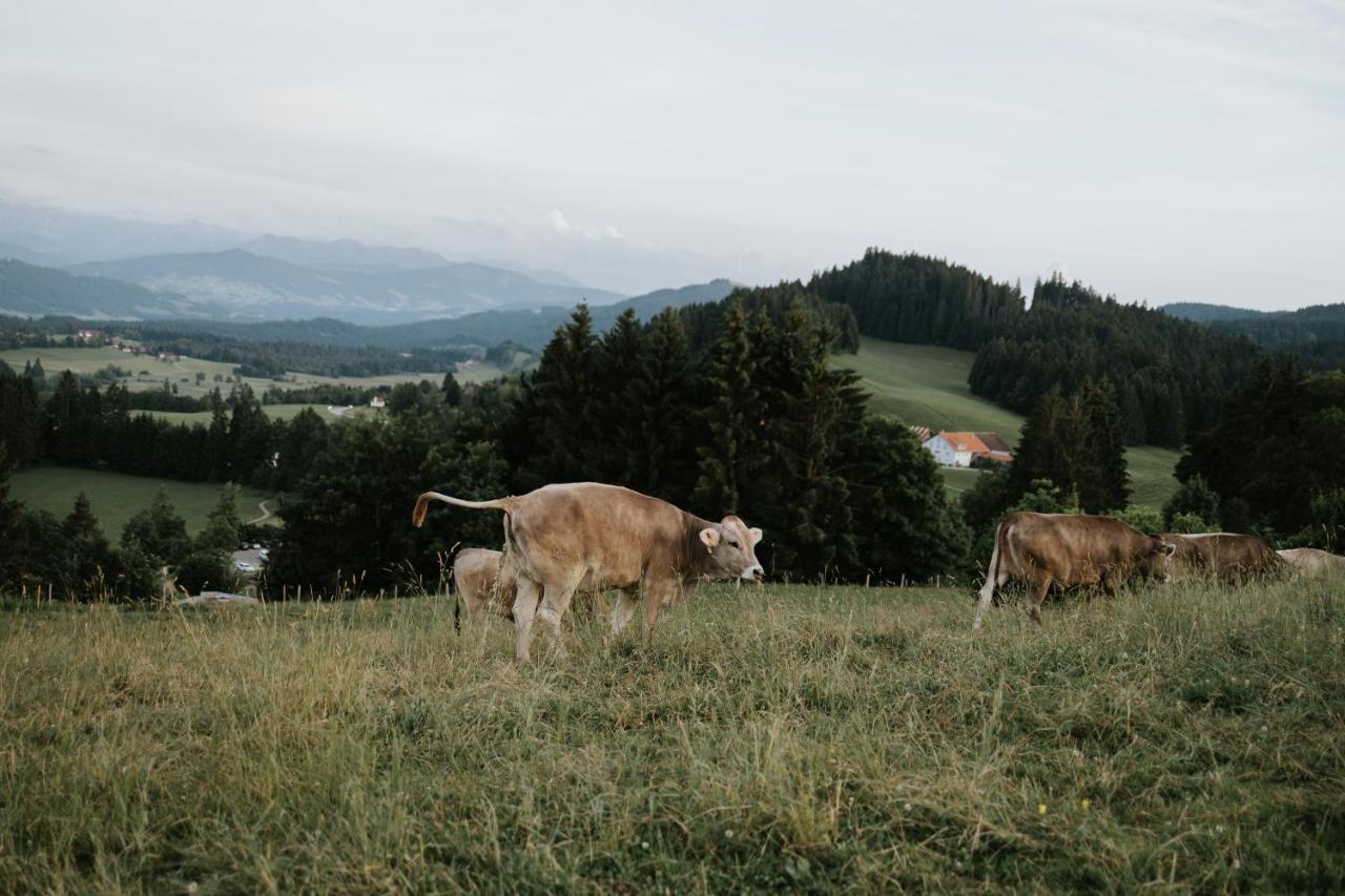 Ferienwohnung Alpenblick I Kamin I Private Sauna Wangen im Allgäu Eksteriør billede